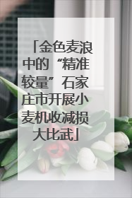金色麦浪中的“精准较量”石家庄市开展小麦机收减损大比武