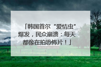 韩国首尔“爱情虫”爆发，民众崩溃：每天都像在拍恐怖片！