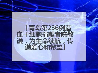青岛第236例造血干细胞捐献者陈敬谦：为生命续航，传递爱心和希望