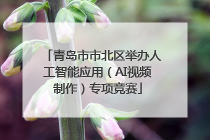 青岛市市北区举办人工智能应用（AI视频制作）专项竞赛