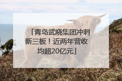 青岛武晓集团冲刺新三板！近两年营收均超20亿元