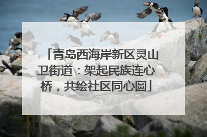 青岛西海岸新区灵山卫街道：架起民族连心桥，共绘社区同心圆