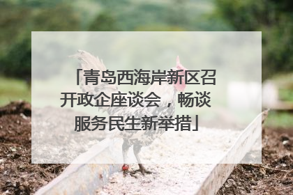 青岛西海岸新区召开政企座谈会，畅谈服务民生新举措