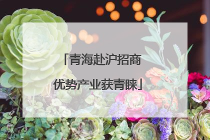 青海赴沪招商 优势产业获青睐