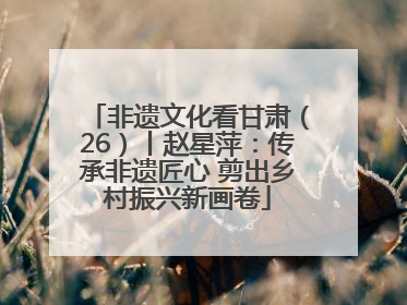 非遗文化看甘肃（26）丨赵星萍：传承非遗匠心 剪出乡村振兴新画卷