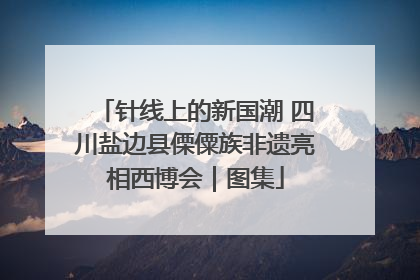 针线上的新国潮 四川盐边县傈僳族非遗亮相西博会｜图集