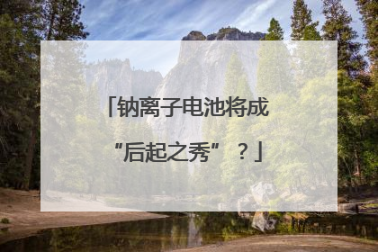 钠离子电池将成“后起之秀”？