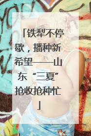 铁犁不停歇，播种新希望——山东“三夏”抢收抢种忙