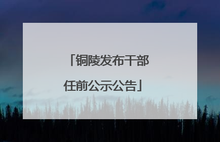 铜陵发布干部任前公示公告