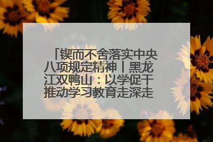 锲而不舍落实中央八项规定精神丨黑龙江双鸭山：以学促干推动学习教育走深走实 从小事入手写好“民生答卷”