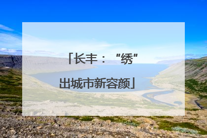 长丰：“绣”出城市新容颜
