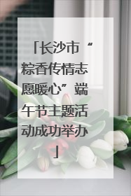长沙市“粽香传情志愿暖心”端午节主题活动成功举办