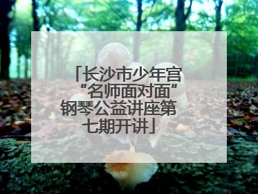 长沙市少年宫“名师面对面”钢琴公益讲座第七期开讲