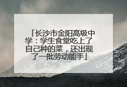长沙市金阳高级中学：学生食堂吃上了自己种的菜，还出现了一批劳动能手