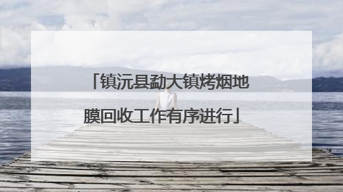 镇沅县勐大镇烤烟地膜回收工作有序进行