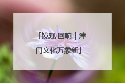 镜观·回响｜津门文化万象新