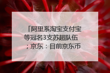 阿里系淘宝支付宝等冠名3支苏超队伍；京东：目前京东币链科技并没有开始发行稳定币｜早资道