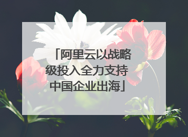阿里云以战略级投入全力支持中国企业出海