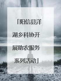 阳信县洋湖乡科协开展助农服务系列活动
