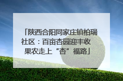 陕西合阳同家庄镇柏瑞社区：百亩杏园迎丰收 果农走上“杏”福路