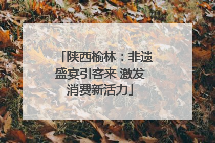 陕西榆林：非遗盛宴引客来 激发消费新活力