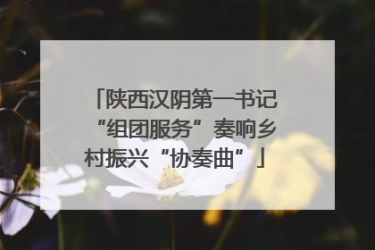 陕西汉阴第一书记“组团服务”奏响乡村振兴“协奏曲”