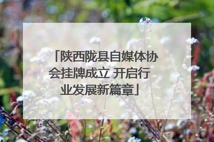 陕西陇县自媒体协会挂牌成立 开启行业发展新篇章