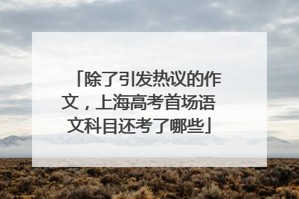 除了引发热议的作文，上海高考首场语文科目还考了哪些