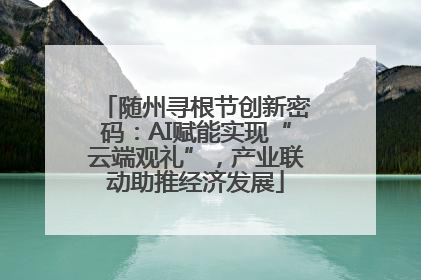随州寻根节创新密码：AI赋能实现“云端观礼”，产业联动助推经济发展