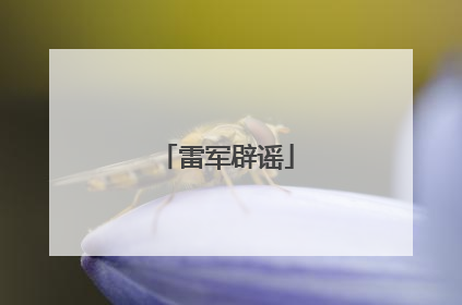 雷军辟谣