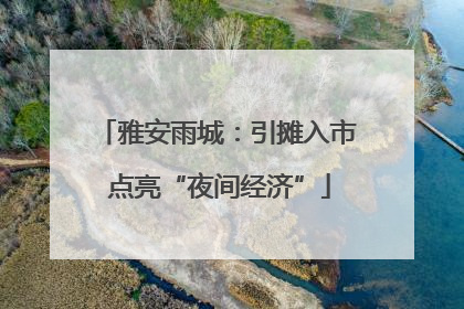 雅安雨城：引摊入市 点亮“夜间经济”