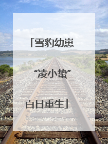 雪豹幼崽“凌小蛰”百日重生