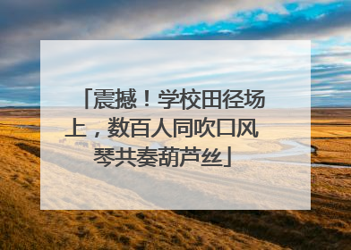 震撼！学校田径场上，数百人同吹口风琴共奏葫芦丝