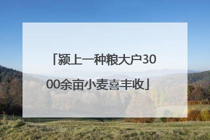 颍上一种粮大户3000余亩小麦喜丰收