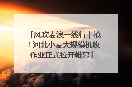 风吹麦浪一线行｜抢！河北小麦大规模机收作业正式拉开帷幕