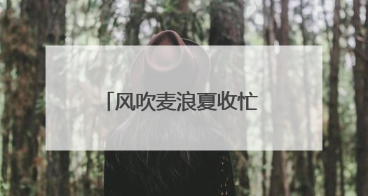 风吹麦浪夏收忙 河南老兵保粮仓