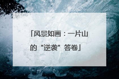 风景如画：一片山的“逆袭”答卷