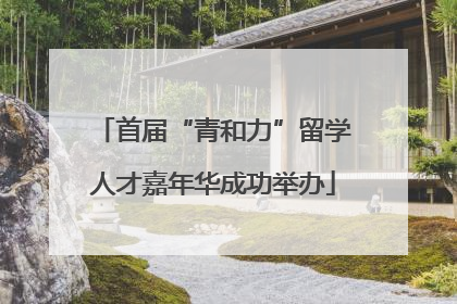 首届“青和力”留学人才嘉年华成功举办