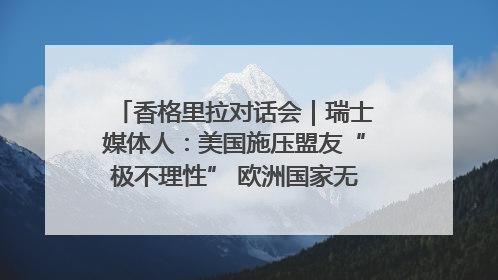 香格里拉对话会｜瑞士媒体人：美国施压盟友“极不理性” 欧洲国家无意与中国“脱钩断链”