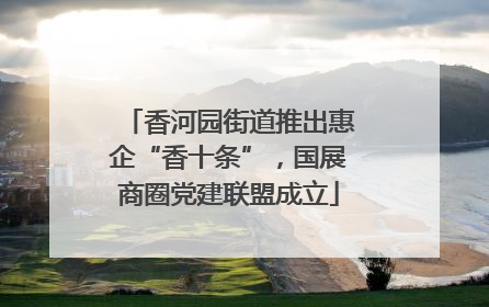 香河园街道推出惠企“香十条”，国展商圈党建联盟成立
