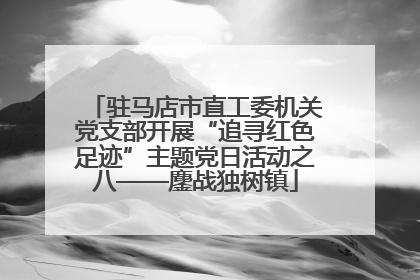 驻马店市直工委机关党支部开展“追寻红色足迹”主题党日活动之八——鏖战独树镇