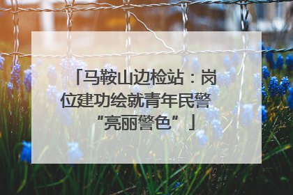 马鞍山边检站：岗位建功绘就青年民警“亮丽警色”