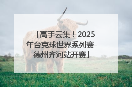 高手云集！2025年台克球世界系列赛-德州齐河站开赛