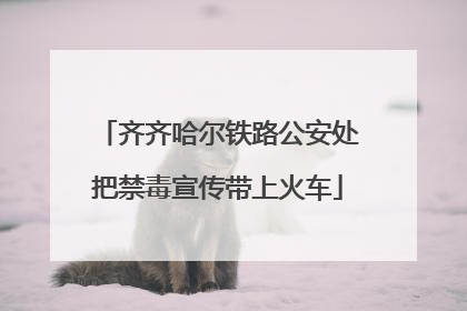 齐齐哈尔铁路公安处把禁毒宣传带上火车