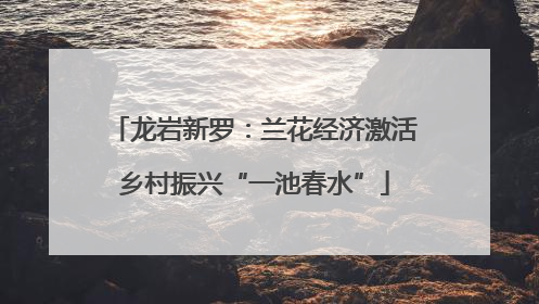 龙岩新罗：兰花经济激活乡村振兴“一池春水”
