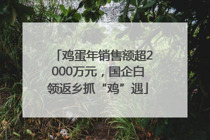 鸡蛋年销售额超2000万元，国企白领返乡抓“鸡”遇