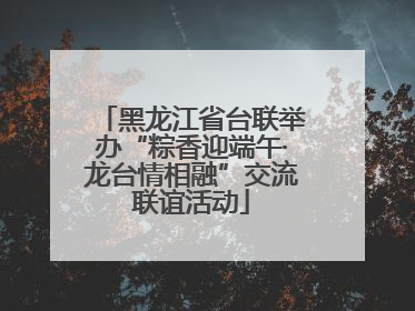 黑龙江省台联举办“粽香迎端午·龙台情相融”交流联谊活动
