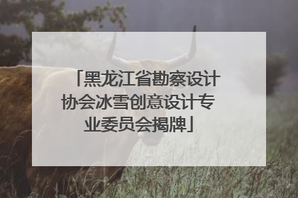 黑龙江省勘察设计协会冰雪创意设计专业委员会揭牌