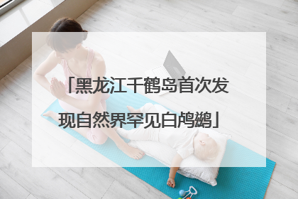 黑龙江千鹤岛首次发现自然界罕见白鸬鹚