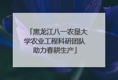 黑龙江八一农垦大学农业工程科研团队助力春耕生产
